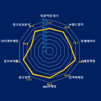 온라인마케팅수준진단